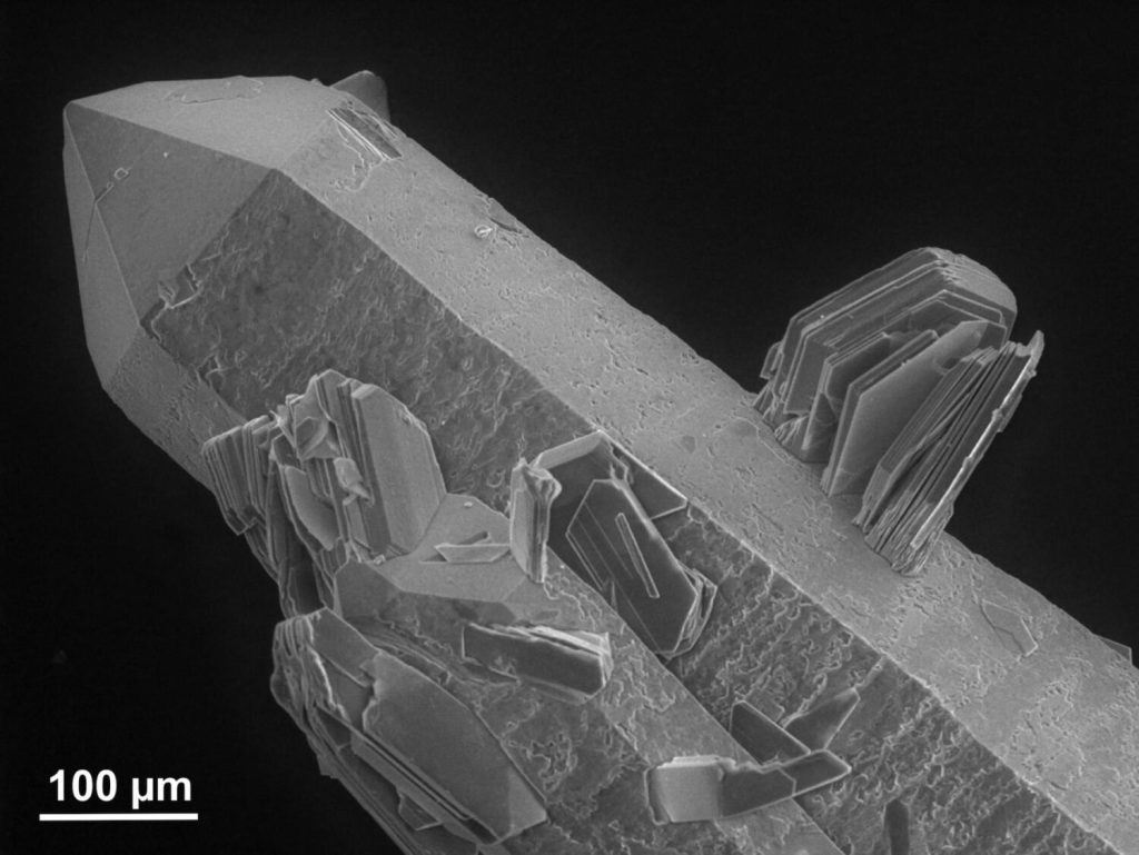 Rasterelektronenmikroskop-Aufnahme von Tonmineralen (Bentonit) mit schichtartiger Kristallstruktur im Mikrometerbereich
